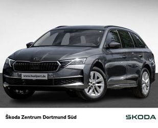 Skoda Skoda Octavia Combi 2.0TDI DSG Selection NAV ACC S Gebrauchtwagen