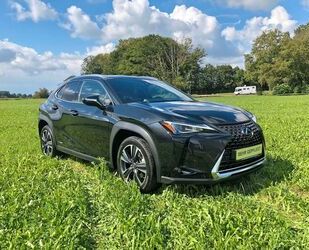 Lexus Lexus UX 250h / LED / DAB / CARPLAY / ALCANTARA / Gebrauchtwagen