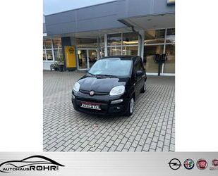 Fiat Fiat Panda Base 1.0 Mild Hybrid EU6d Gebrauchtwagen