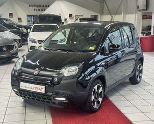 Fiat Panda Gebrauchtwagen