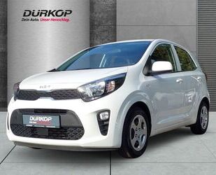 Kia Kia Picanto Edition 7 Bluetooth SHZ LenkradHZG DAB Gebrauchtwagen