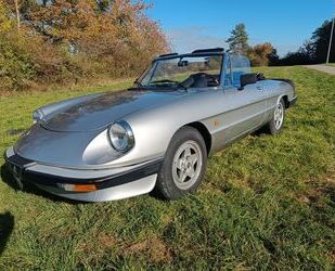 Alfa Romeo Alfa Romeo Spider Aerodinamica Gebrauchtwagen