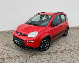 Fiat Fiat Panda 1.0 Hybrid City Life+Parksensoren Gebrauchtwagen