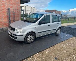 Fiat Fiat Panda 1,2 Gebrauchtwagen