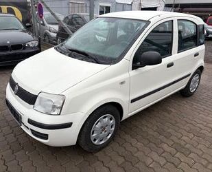 Fiat Fiat Panda 1.2 8V MyLive Klima Tüv Neu Gebrauchtwagen