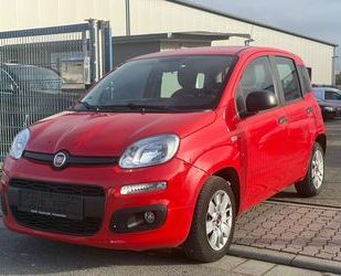 Fiat Fiat Panda Easy Gebrauchtwagen