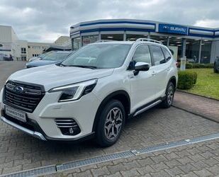 Subaru Forester Gebrauchtwagen