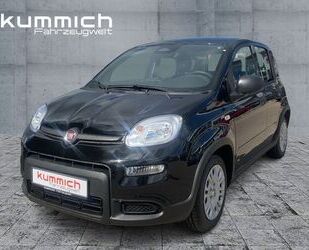 Fiat Fiat Panda Hybrid 1.0 GSE 51kw (70PS) Hybrid 1.0 G Gebrauchtwagen