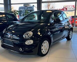 Fiat Fiat 500 Gebrauchtwagen