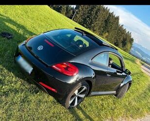 VW Volkswagen New Beetle Gebrauchtwagen