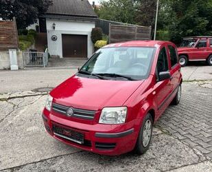 Fiat Fiat Panda 1.2 8V Dynamic Gebrauchtwagen