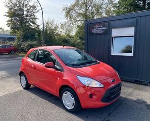 Ford Ford Ka Trend Red//Servo//Klima//51Kw// Gebrauchtwagen