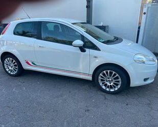 Fiat Fiat Punto 1.2 16V ELX ELX Gebrauchtwagen