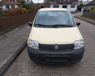 Fiat Fiat Panda Gebrauchtwagen