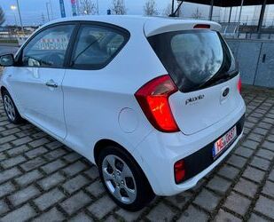 Kia Kia Picanto Edition7 Klima el.FH SEHR SPARSAM Gebrauchtwagen