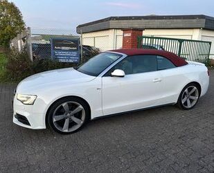 Audi Audi A5 Cabriolet 2.0 TDI quattro 2x S-Line Leder Gebrauchtwagen