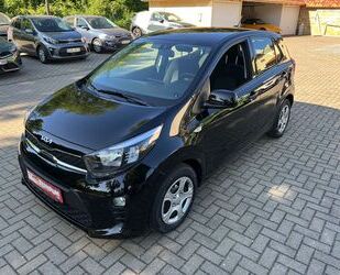 Kia Kia Picanto Edition 1,0 Gebrauchtwagen