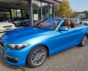 BMW BMW 218 Baureihe 2 Cabrio 218 i Luxury Line Gebrauchtwagen