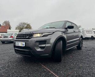 Land Rover Land Rover Range Rover Evoque Dynamic Black Pack Gebrauchtwagen