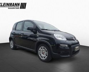 Fiat Fiat Panda 1.0 GSE Hybrid (70PS) *Klima+Bluetooth Gebrauchtwagen