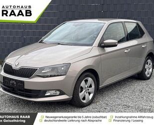 Skoda Skoda Fabia 1.2l TSI Style Green tec 81 kW (110 PS Gebrauchtwagen