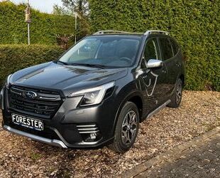 Subaru Subaru Forester 2.0ie Active Lineartronic*WiRä gr Gebrauchtwagen