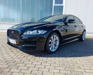 Jaguar Jaguar XF R-Sport Automatik Leder Kamera PDC SHZ Gebrauchtwagen