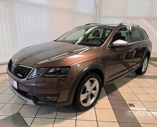 Skoda Skoda Octavia Combi Scout 4x4/1.Hand/LED/AHZV/NAVI Gebrauchtwagen