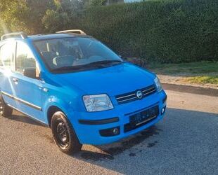 Fiat Fiat Panda 1.2 8V Dynamic Gebrauchtwagen