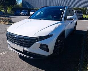 Hyundai Hyundai Tucson 1.6 CRDI 136 DCT-7 Hybrid 48V Creat Gebrauchtwagen