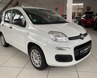 Fiat Fiat Panda Easy 1,2 Klimaanlage Gebrauchtwagen