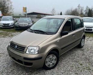 Fiat Fiat Panda 1.2 8V Dynamic Erste Hand* Scheckheft* Gebrauchtwagen