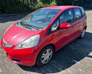 Honda Honda Jazz 1.4 Comfort Gebrauchtwagen