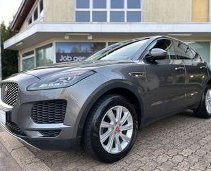 Jaguar Jaguar E-Pace D180 S Aut. 4WD LED Navi Leder Kamer Gebrauchtwagen