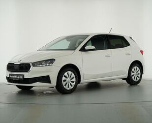 Skoda Skoda FABIA ACTIVE 1.0MPI KLIMA+SITZ-HZ+EINPARKHIL Gebrauchtwagen