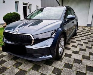 Skoda Skoda Enyaq iv80 Gebrauchtwagen