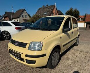 Fiat Fiat Panda 1.2 8V Dynamic Gebrauchtwagen