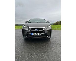 Lexus Lexus NX 300 300h - Gebrauchtwagen