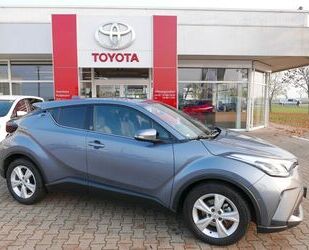 Toyota Toyota C-HR 2.0 Hybrid Team D *LED*NAVI*ACC*DAB*SH Gebrauchtwagen