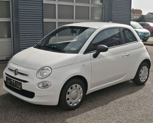 Fiat Fiat 500 Cult Mild-Hybrid Klima Gebrauchtwagen