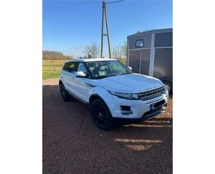 Land Rover Land Rover Range Rover Evoque 2.2 TD4 Pure Pure Gebrauchtwagen