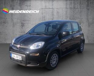 Fiat Fiat Panda 1.0 GSE Hybrid (312) Gebrauchtwagen