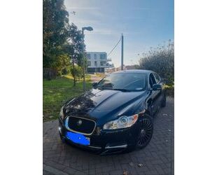 Jaguar Jaguar XF 3.0 V6 Diesel Luxury Luxury Gebrauchtwagen