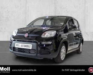 Fiat Fiat Panda Mild Hybrid City Paket Cinema Schwarz Gebrauchtwagen