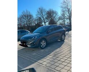 Ford Ford Kuga 2.0 EcoBlue Hybrid ST-Line X ST-Line X Gebrauchtwagen