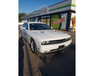 Dodge Dodge Challenger Gebrauchtwagen