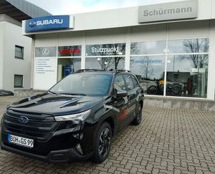 Subaru Forester Gebrauchtwagen