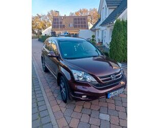 Honda Honda CR-V 2.0 Comfort Automatik Comfort Gebrauchtwagen