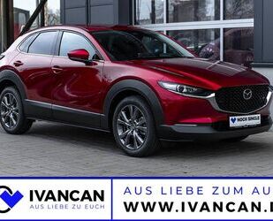 Mazda Mazda CX-30 2.0i X 186PS A/T Exclusive Gebrauchtwagen