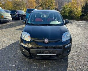 Fiat Fiat Panda Easy 1.2*1 HAND*KLIMA* Gebrauchtwagen